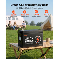 VEVOR 24V 100Ah LiFePO4 Lithium Battery 4000+ Cycles 100A BMS with Bluetooth, 2560Wh Lithium Battery with Low