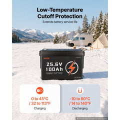 VEVOR 24V 100Ah LiFePO4 Lithium Battery 4000+ Cycles 100A BMS with Bluetooth, 2560Wh Lithium Battery with Low