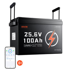 VEVOR 24V 100Ah LiFePO4 Lithium Battery 4000+ Cycles 100A BMS with Bluetooth, 2560Wh Lithium Battery with Low