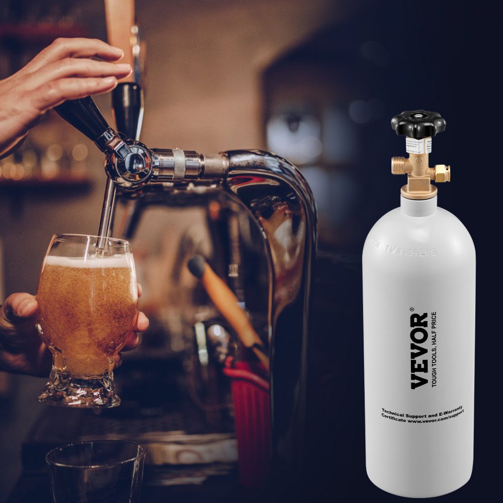 VEVOR CO2 Regulator Gauge with 0-60PSI, Heavy Duty CO2 Gauge Gas System, Draft Beer Regulator with Adjustable Pressure