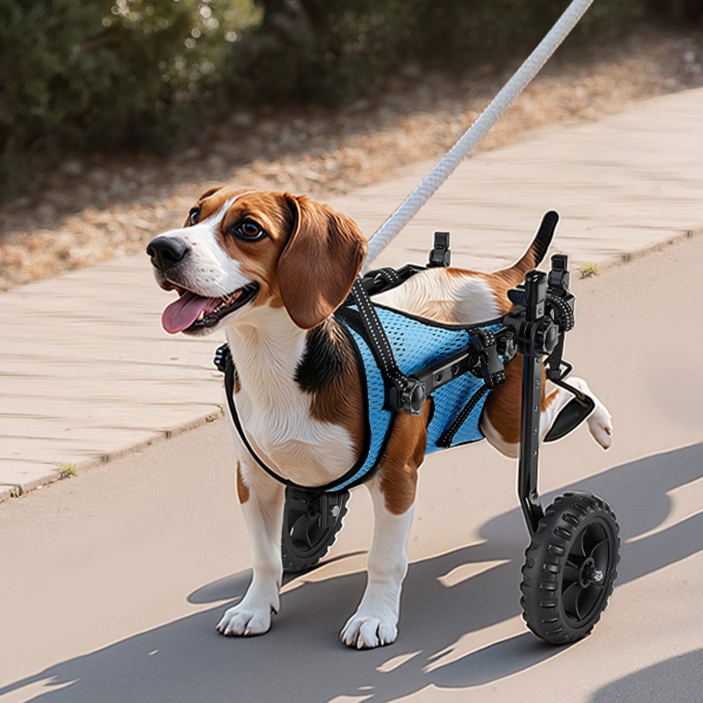 VEVOR Dog Wheelchair for Back Legs, Adjustable 2 Wheels Pet Wheelchair, Lightweight Dog Cart with Shock-Absorbing
