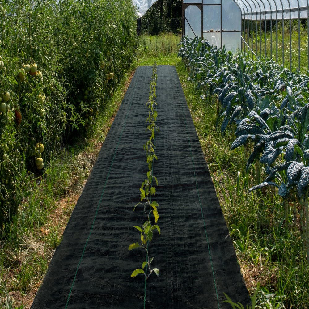 VEVOR Weed Barrier, 5.8oz Landscape Fabric, 3ft x 300ft Cover Mat Heavy Duty Woven Grass Control Geotextile for Garden