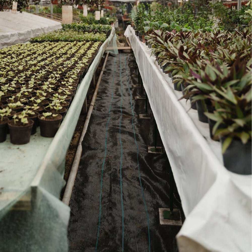 VEVOR Weed Barrier Landscape Fabric, 5 x 250 ft, 5 Oz Premium Woven Ground Cover Heavy Duty PP Material & Easy Setup