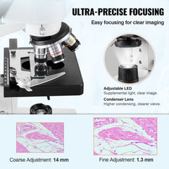 VEVOR Compound Trinocular Microscope, 40X-5000X Magnification Trinocular Compound Lab Microscope with Two-Layer