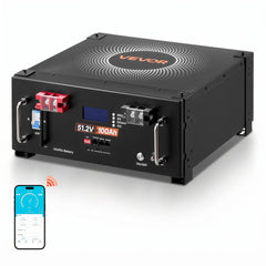 VEVOR 48V 100Ah LiFePO4 Lithium Battery, Built-in 100A BMS, 51.2V Server Rack LiFePO4 Battery with Bluetooth, 5120Wh