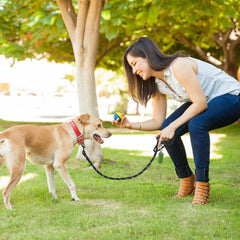 VEVOR Rope Dog Leash, 6ft Heavy Duty Dog Leash with Comfortable Padded Handle, Strong Nylon Thick Leash with Reflective