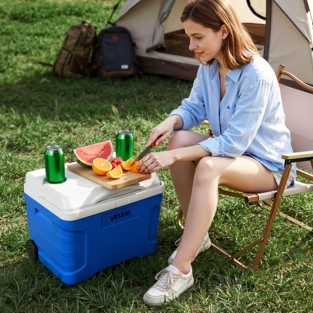 VEVOR Hard Cooler, 21QT Portable Rolling Cooler with Wheels, Leak-Resistant Coolbox Keeps Contents Cool for 48 Hours