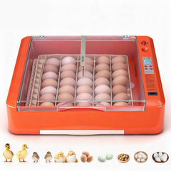VEVOR 36 Egg Incubator, Automatic Egg Turner with LED Candler & Water Tray, Temperature & Humidity Control, 360° View