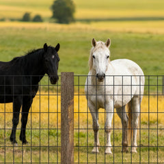 VEVOR Farm Fence, 48 in x 50 ft, 2 x 4 in Mesh 14 Gauge Galvanized Steel Wire Fencing for Cattle, Hog & Sheep , Heavy