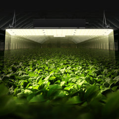 VEVOR LED Growth Illumination, 200W Full Spectrum Adjustable, Efficient Samsung 2B1B Diodes Light for Indoor Seedling
