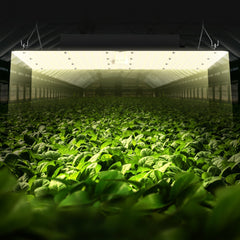 VEVOR LED Grow Light, 400W Full Spectrum Dimmable, High Yield Samsung 2B1B Diodes Growing Lamp for Indoor Plants