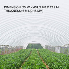 VEVOR Greenhouse Film 25 x 40 ft, Greenhouse Polyethylene Film 6 Mil Thickness, Greenhouse Plastic Greenhouse Clear