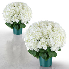VEVOR Artificial Potted Hydrangeas 20 in 2-Pack Fake Flower Plants White, for Porch, Patio, Entryway, & Home Decor