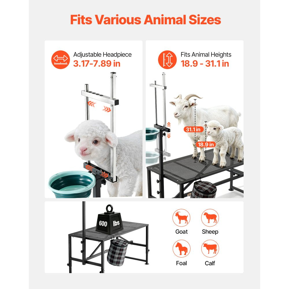 VEVOR Goat Milking Stand, 600 lbs Heavy Duty Goat Stand with Feed Bin, Adjustable Headpiece & Tool Basket, Stanchion