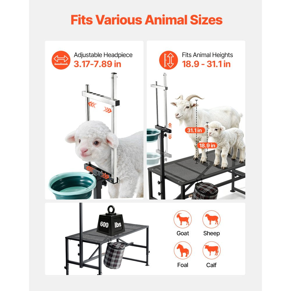 VEVOR Goat Milking Stand, 600 lbs Heavy Duty Goat Stand with Feed Bin, Adjustable Headpiece & Tool Basket, Stanchion