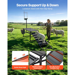 VEVOR Goat Milking Stand, 600 lbs Heavy Duty Goat Stand with Ramp & Feed Bin, Adjustable Headpiece & Tool Basket
