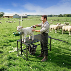 VEVOR Goat Milking Stand, 600 lbs Heavy Duty Goat Stand with Ramp & Feed Bin, Adjustable Headpiece & Tool Basket
