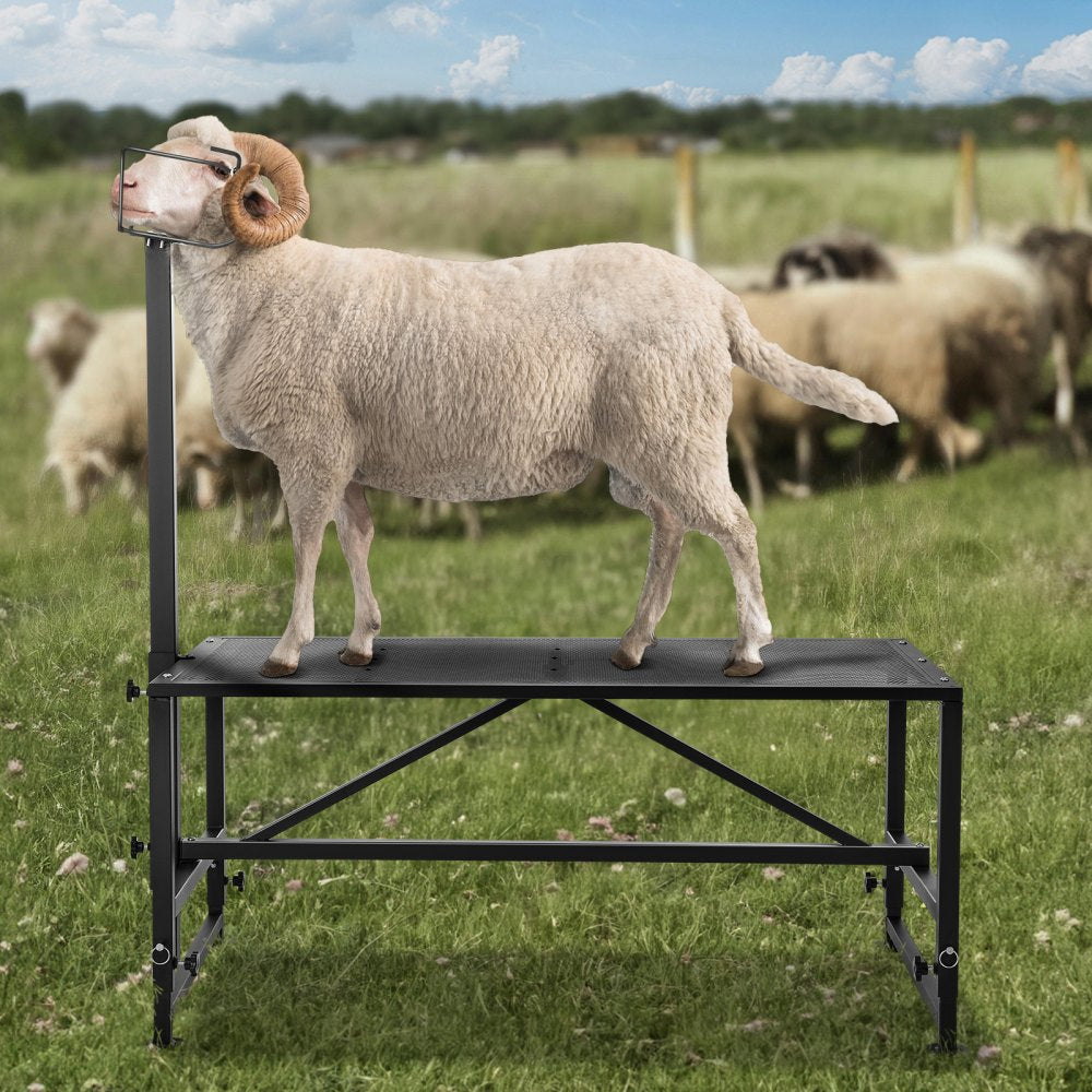 VEVOR Goat & Sheep Stand, 51x23 inch Livestock Stand, Metal Livestock Milking and Shearing Stand 21" to 33" Adjustable