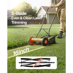 VEVOR Push Reel Lawn Mower 16 inch, 5 Blades Manual Push Mower No Motor, 0.6-1.75 in Adjustable Cutting Height