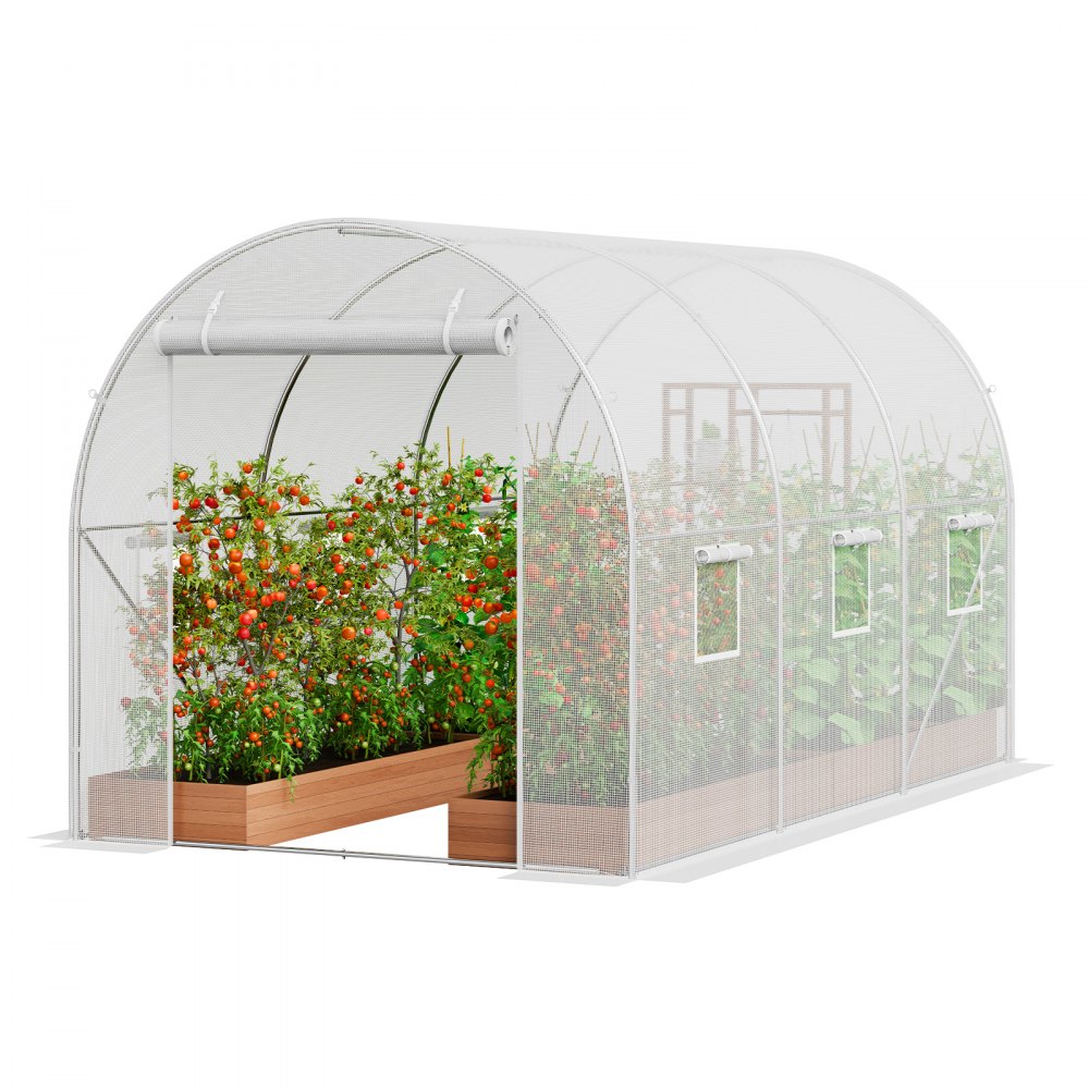 VEVOR Walk-in Tunnel Greenhouse, 9.6x6.4x6.2 ft Hoop House Greenhouse Tunnel, Plant Hot House with Galvanized Steel