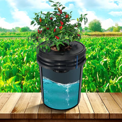 VEVOR DWC Hydroponic System, 5 Gallon 4 Buckets, Deep Water Culture Growing Bucket, Hydroponics Grow Kit with Pump, Air