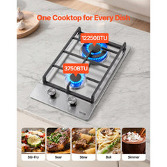 VEVOR Gas Cooktop 12 inch, Max 12250BTU 2 Burners Built-in Stainless Steel Gas Stove Top, LPG/NG Convertible Dual Fuel
