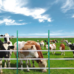 VEVOR Electric Fence Tape, 1640Ft 500M Polytape Fencing Hot Wire, 3/4" Width 6 Stainless Steel Strands for Reliable