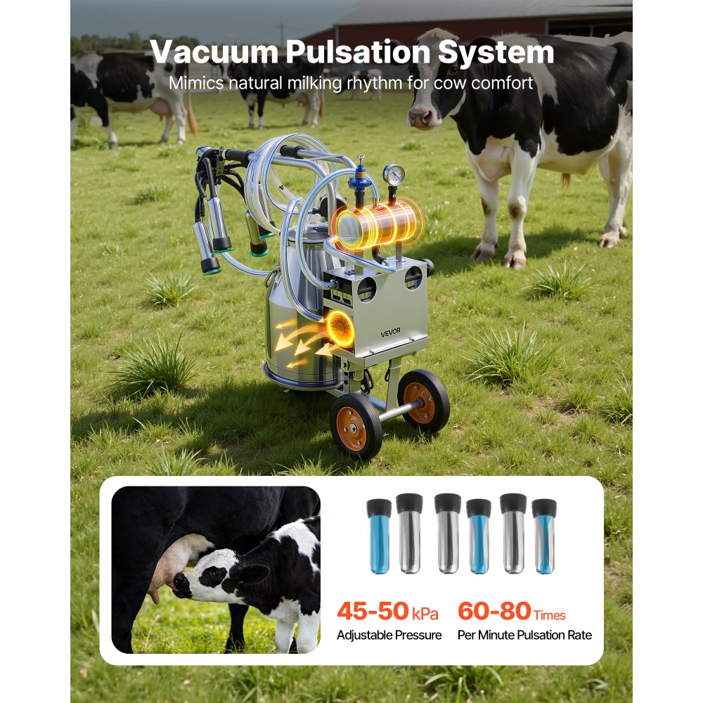 VEVOR Electric Cow Milking Machine, 6.6 Gal / 25 L 304 Stainless Steel Bucket, Food-Grade Teat Cups and Silicone Hose