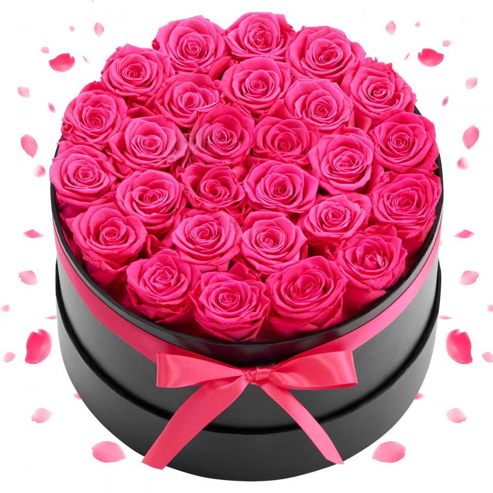 VEVOR Forever Flowers, 27 Preserved Roses in a Box, Eternal Flowers Immortal Bouquet Birthday Present for Delivery