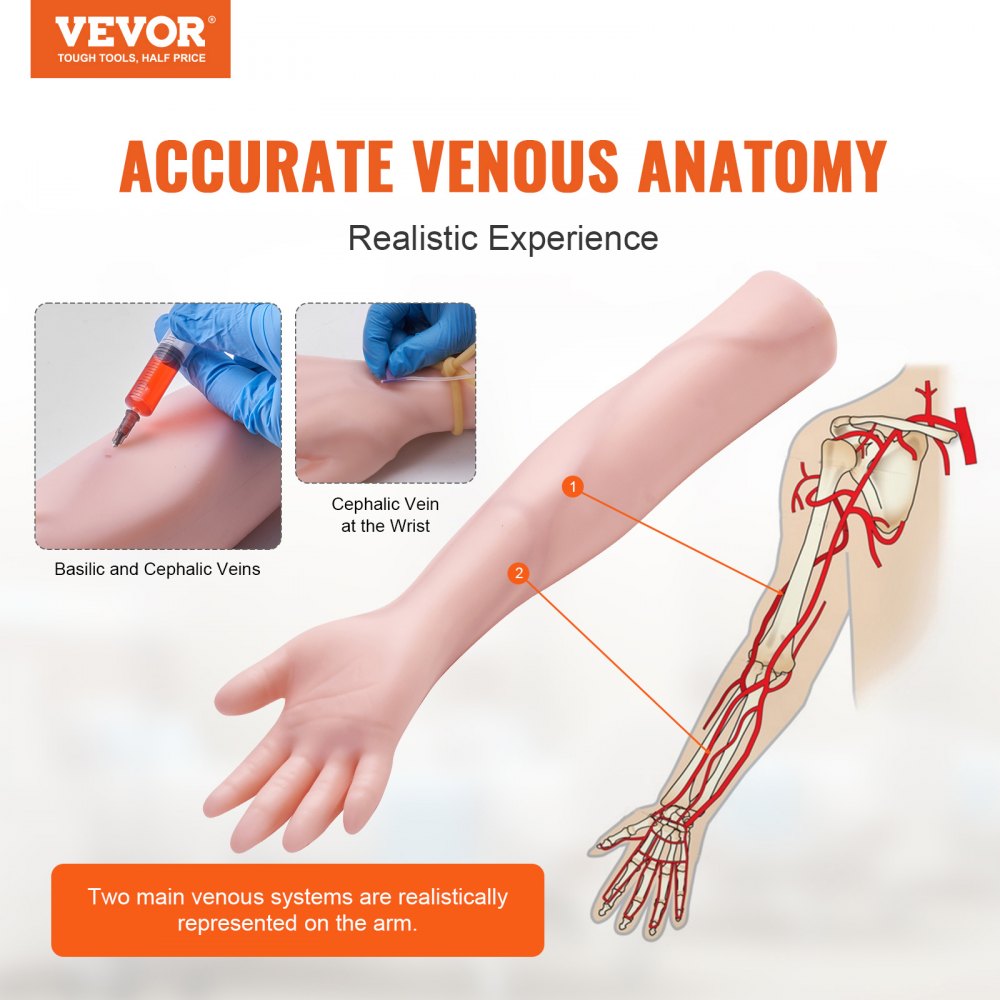 VEVOR Phlebotomy Practice Kit, IV Venipuncture Intravenous Training Kit, High Simulation IV Practice Arm Kit with