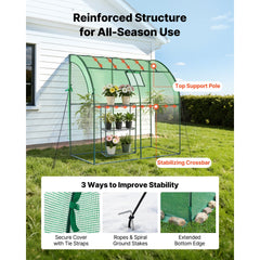 VEVOR Walk-in Green House, 78 x 39.4 x 78.7 in, Greenhouse with Shelves, High Strength PE Cover with Zipper Door and