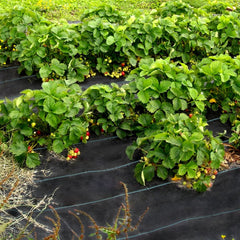 VEVOR Weed Control Fabric 6ft x 300ft - Geo Textile Fabric Heavy Duty - Woven Ground Cover for Commercial Greenhouse